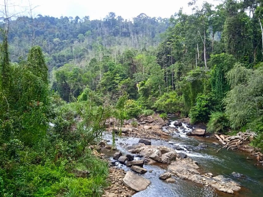 Sinharaja Rain Forest